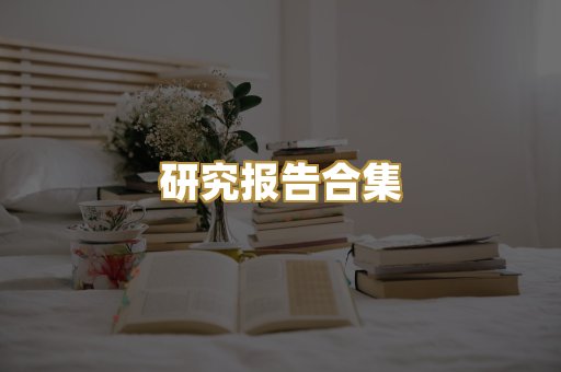 研究报告合集